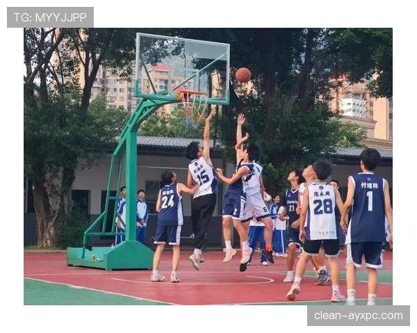 深度解析篮球比赛开始规则及具体执行流程 深度解析篮球比赛开始规则及具体执行流程